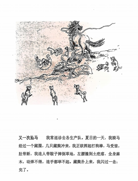 新华走笔丨袁全：寻找王万青
