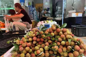 吃货们着急了！今年广西人还能享“荔枝自由”吗？图片