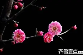 春天是一年最好的赏花季节图片