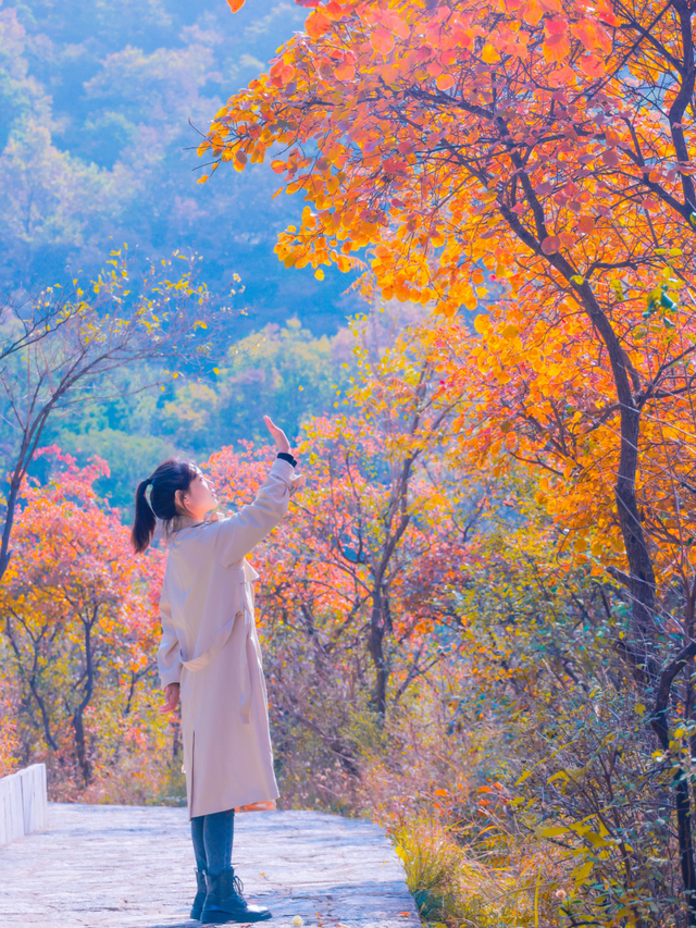 何处红叶醉人眼？何物最暖游子心？