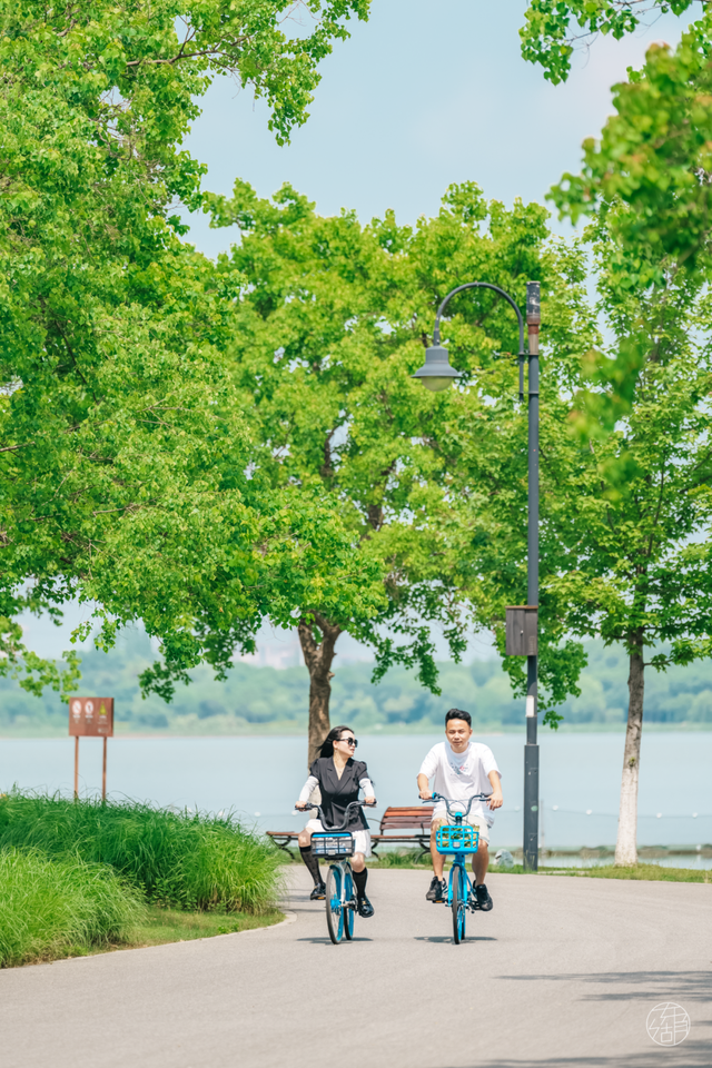 30+东湖夏日绝美壁纸，治愈一整年！