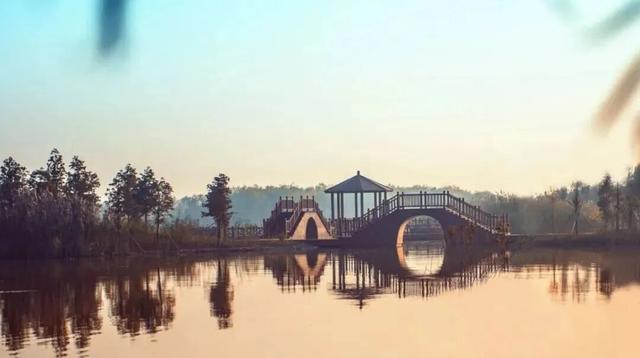 街头大量出现！常州人都已经捡上了