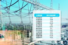 12家公司中标超60亿元电网采购项目图片