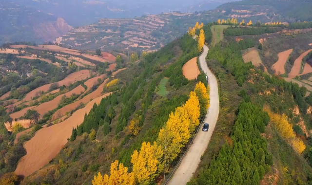 逃离城市！在山野里邂逅最鲜活的色彩盛宴→