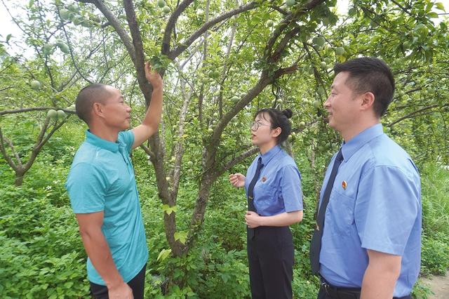 【回眸“十四五”·贵州政法这五年】让游客在山水间感受法治温度——安顺为一流旅游城市建设注入坚实法治动能