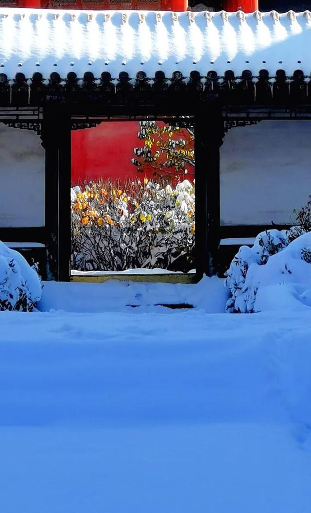 全网都在等的沈阳故宫雪景，来了→