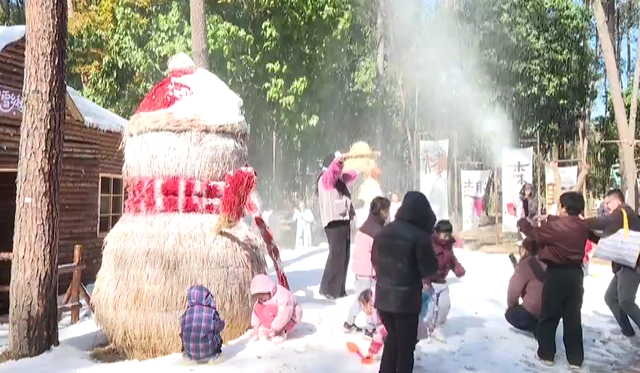“南国雪乡”出圈！浙江冰雪经济点燃长三角冬日激情