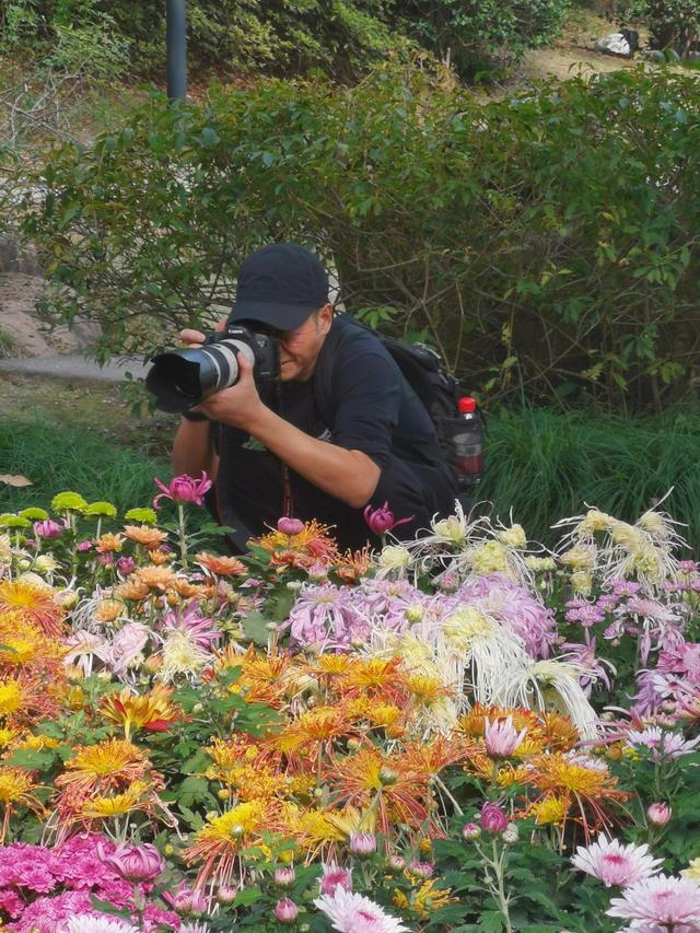 晚潮｜深秋，总要看场菊展吧