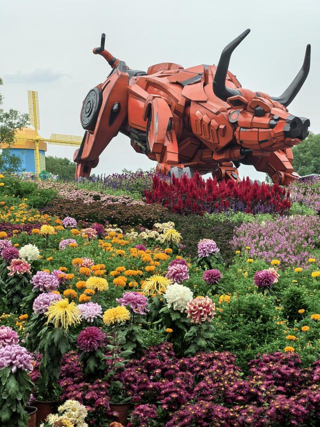 北京国际鲜花港10万平方米花海盛放，国庆增加绚丽夜场