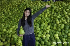“中国金柚之乡”的秘密：品质佳玩法多，梅县金柚有“钱”景图片