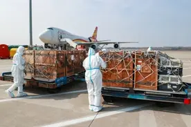 南京禄口国际机场圆满完成珍稀鸟类保障任务图片