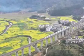 清明假期出行新趋势：短途游火爆 赏花民俗体验热度攀升图片