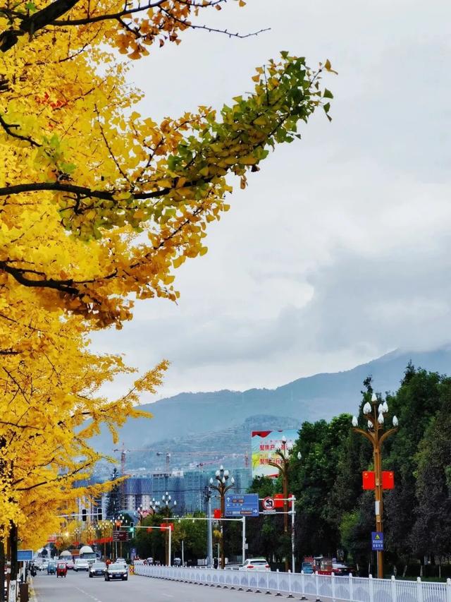 出发！来四川淘“金”