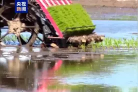 项目招标到验收全流程“走后门”  面对镜头他忏悔“罪有应得”图片