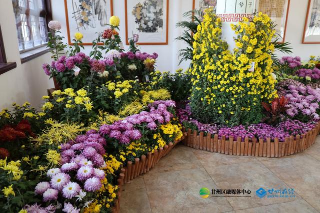 甘州府城：一半是人间烟火，一半是菊韵诗魂