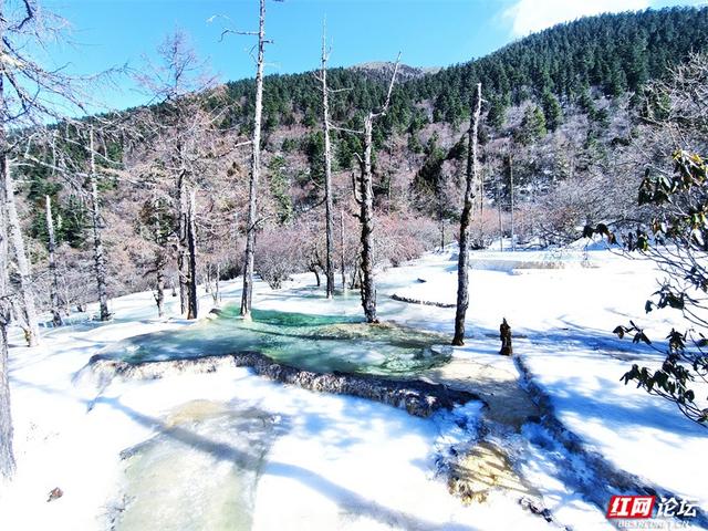 一半冰雪，一半碧波，冬日黄龙的色彩魔术