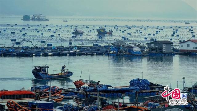 黄靖媛：为宁德三都澳文旅注入“文化芯片”