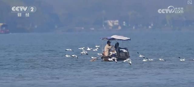 惠民新政撬动消费新增长点 透过火热数据感知城市文旅“温度”