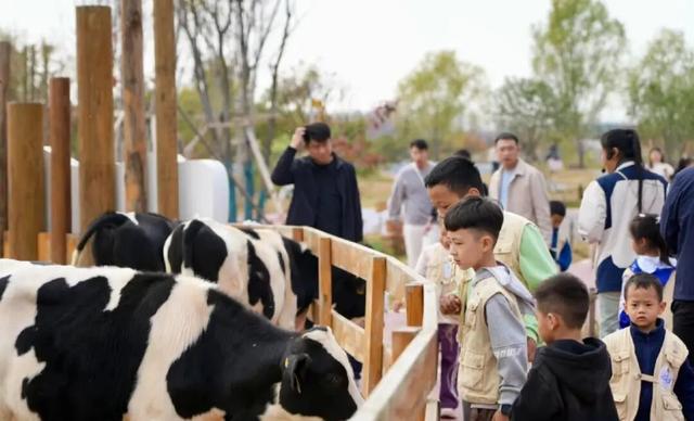 快来报名——“甘味少年行”金昌少年儿童寒假科技生态研学营即将开营啦！