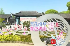 万花绽放，“花神”齐聚，瘦西湖万花会启幕，一个月内精彩不停热闹不歇图片