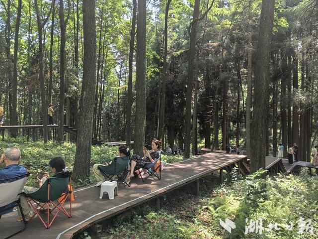 巴东：绿葱坡头风送爽 灯盏窝畔清凉长