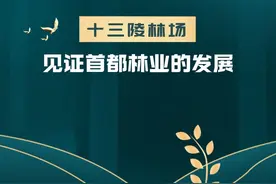十三陵林场 见证首都林业的发展图片