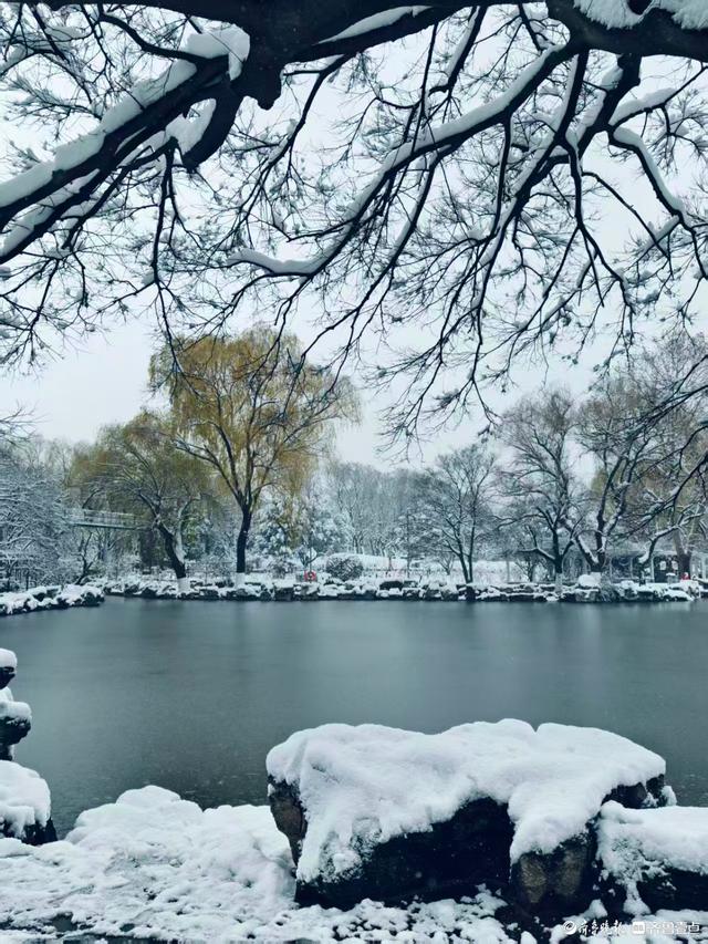 雪中泉城公园美不胜收