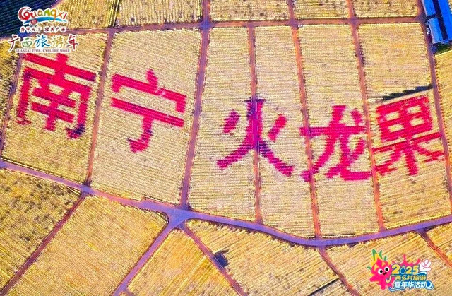 国庆中秋假期怎么玩？这份南宁「文旅体商」超全攻略请查收→