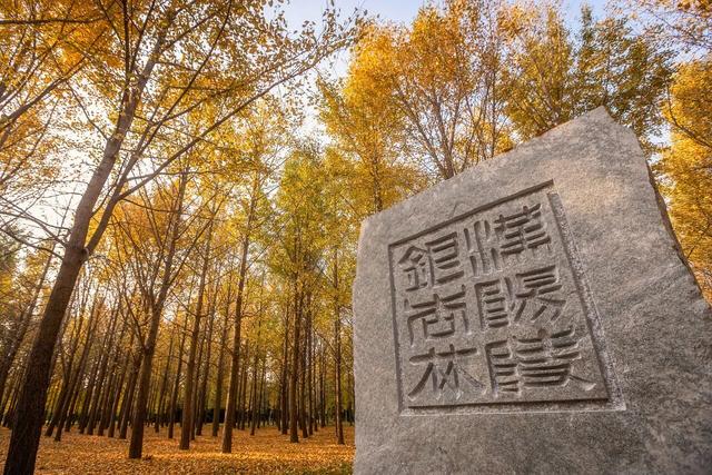 西北转机第一城，错过太可惜