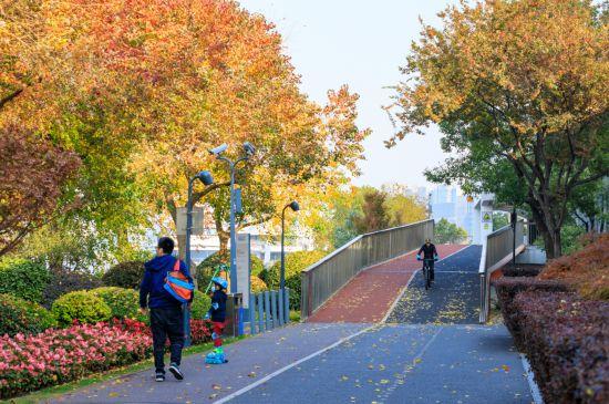 上海市浦东滨江公共空间三道路面进行全面维修