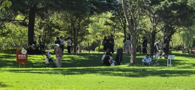 投票啦！国际邮轮旅游度假区、顾村夜集市、巧克力博物馆……宝山区22个案例入围“15分钟社区生活圈”优秀案例