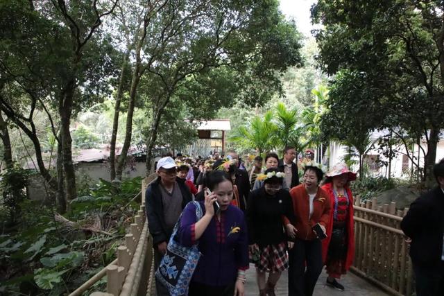多图+视频！一起回看2025年白沙“啦奥门”雨林与您山兰文化活动精彩瞬间