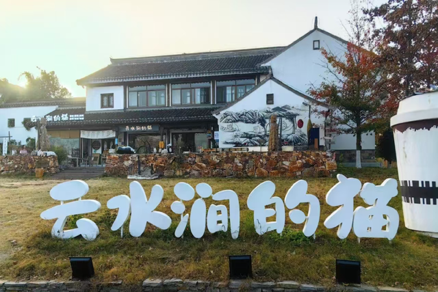 江宁初冬亲子“三件套”→