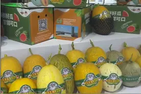 黄的、白的、绿的……多种哈密瓜新品甜蜜亮相冬交会图片