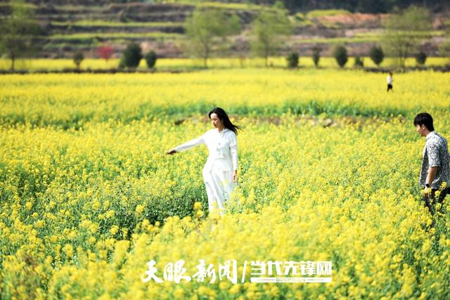 沿着公路找“彩蛋”③｜从路过到停下，这里是皮林村