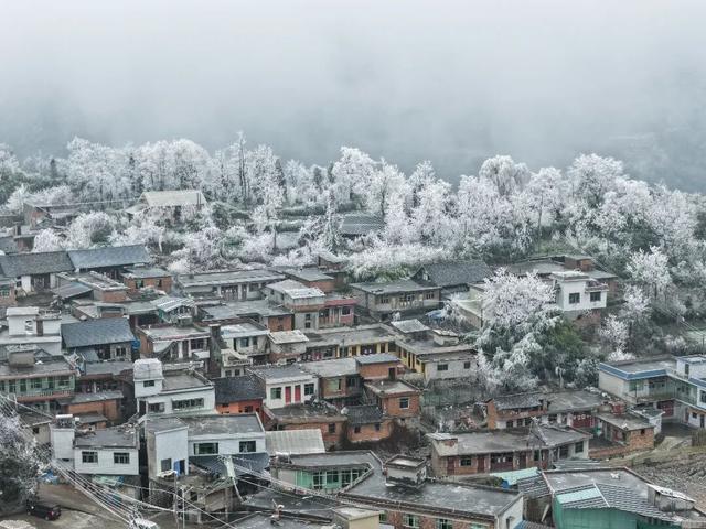 冬日限定！贵州的雾凇秘境藏不住了