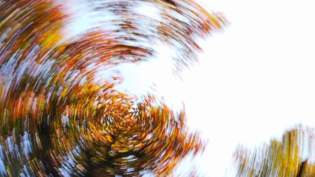 醉美金秋！一起邂逅什川古梨园的百年浪漫！