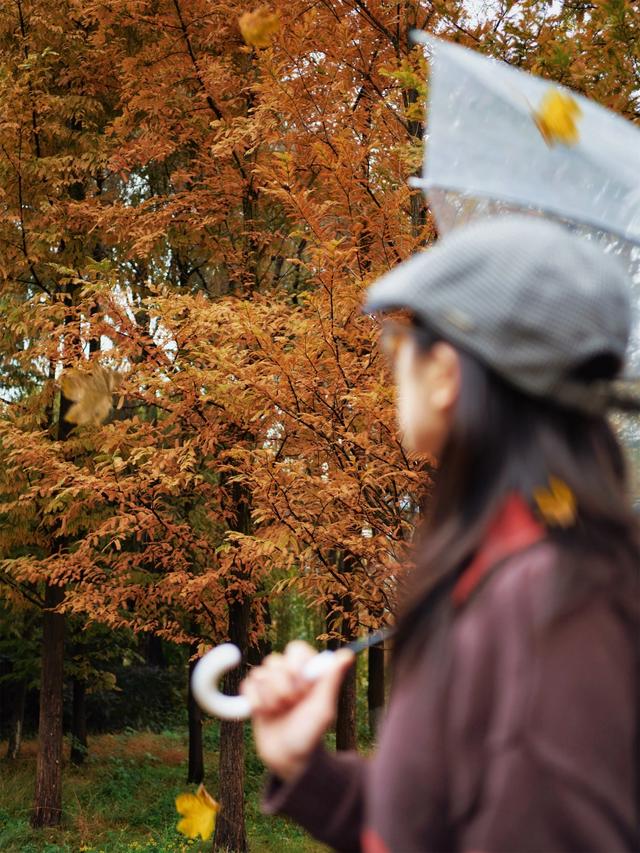 【天眼影像】来七星关拍冬日氛围感美照