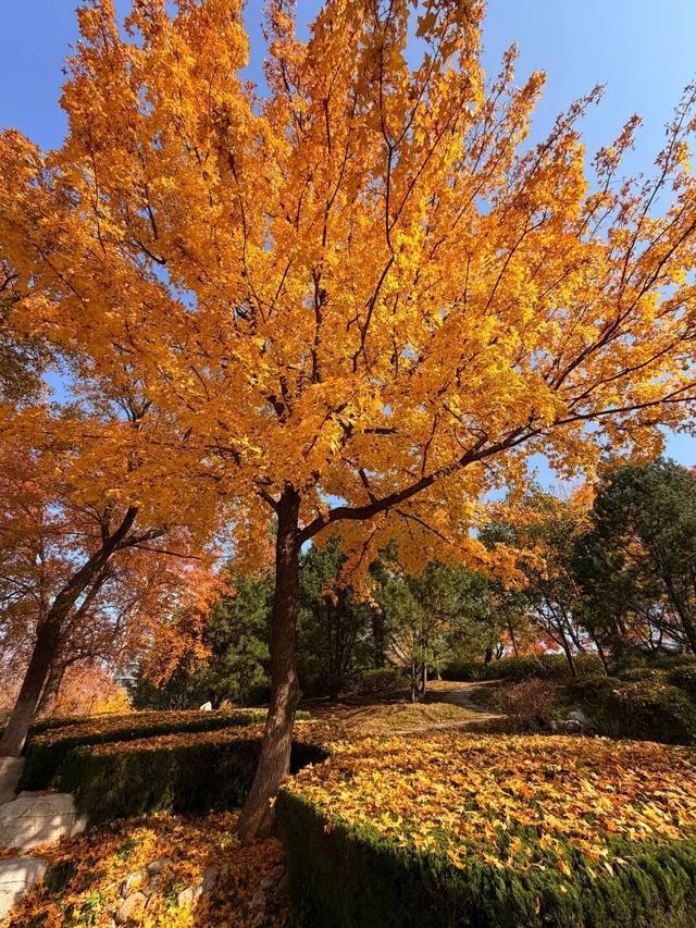 听说周末的石门坊挤爆了？哎，我有一计！