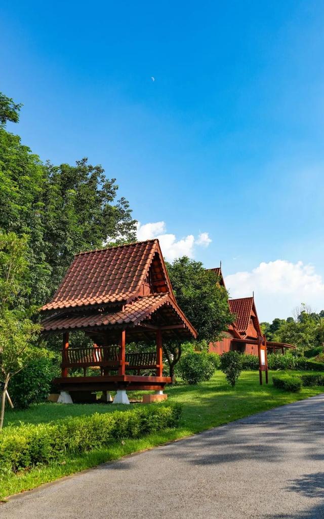 东莞植物园又“粉”了，是时候出发了！