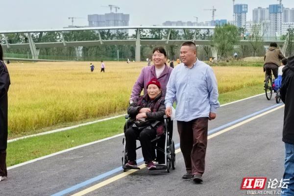 每一片叶子，都是大地写就的诗行——向野而生的大泽湖湿地公园