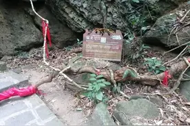 十二生肖只有蛇才会冬眠，所以今年的惊蛰非同一般图片