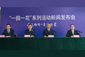 一园一花！2025年临沂中心城区赏花游开启 “繁花” 模式图片