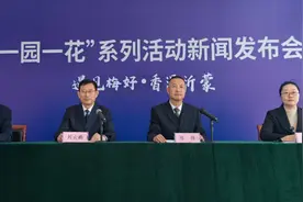 从梅花到荷花！2025年临沂中心城区花事活动安排出炉图片