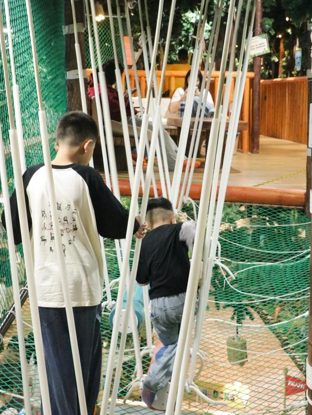 这片焦糖色的“童话森林”，美得藏不住了！