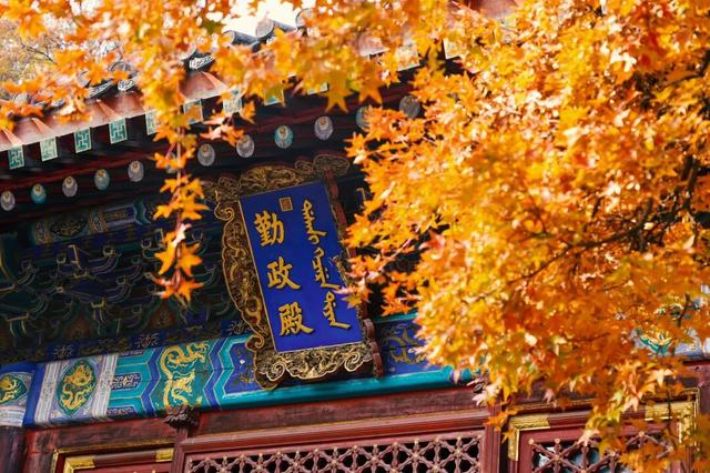 周末带娃赏秋，请收好这份市属公园彩叶地图