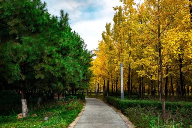 又是一年秋好处