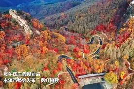 “枫叶之都”本溪发布全域“枫红指数”图片