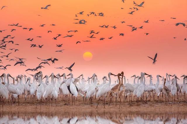 江西的那边是什么？你不用告诉我，我会在秋天自己去看