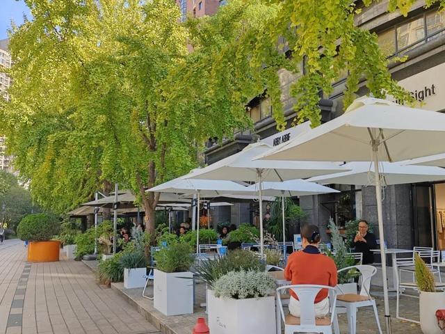 银杏渐黄，黄金城道即将进入“观赏季”→